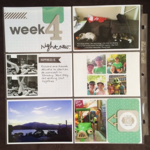 Project Life Week 4