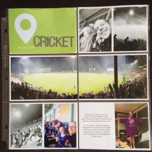 Project Life Cricket